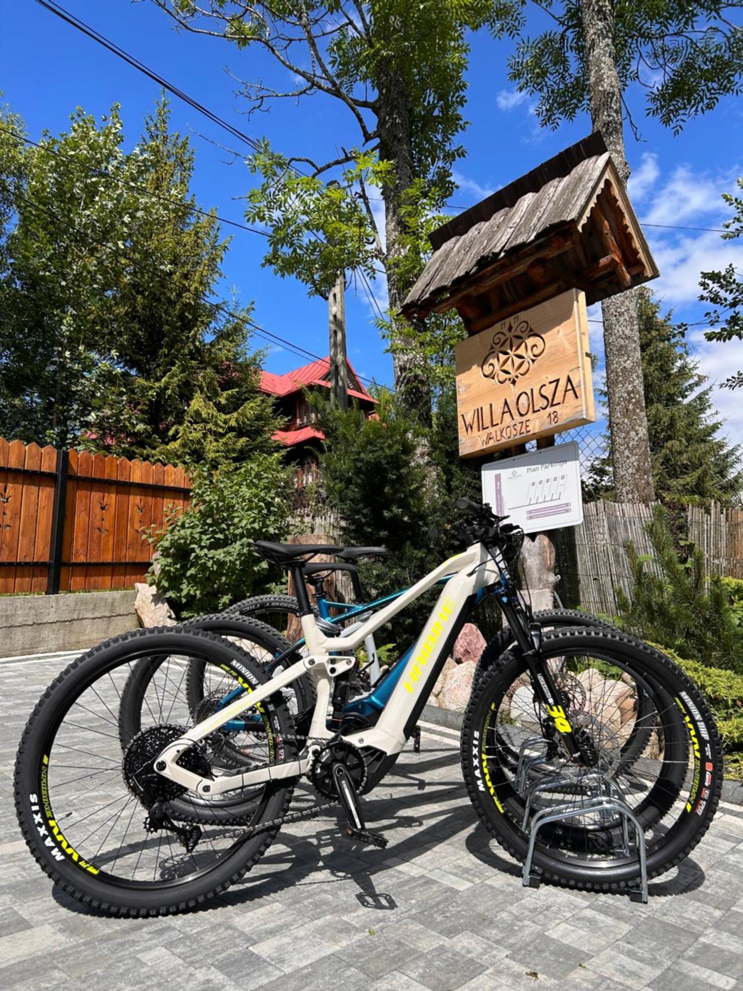Apartamenty Willa Olsza Wood House & Mountain View & Sauna Ζακοπάνε Εξωτερικό φωτογραφία