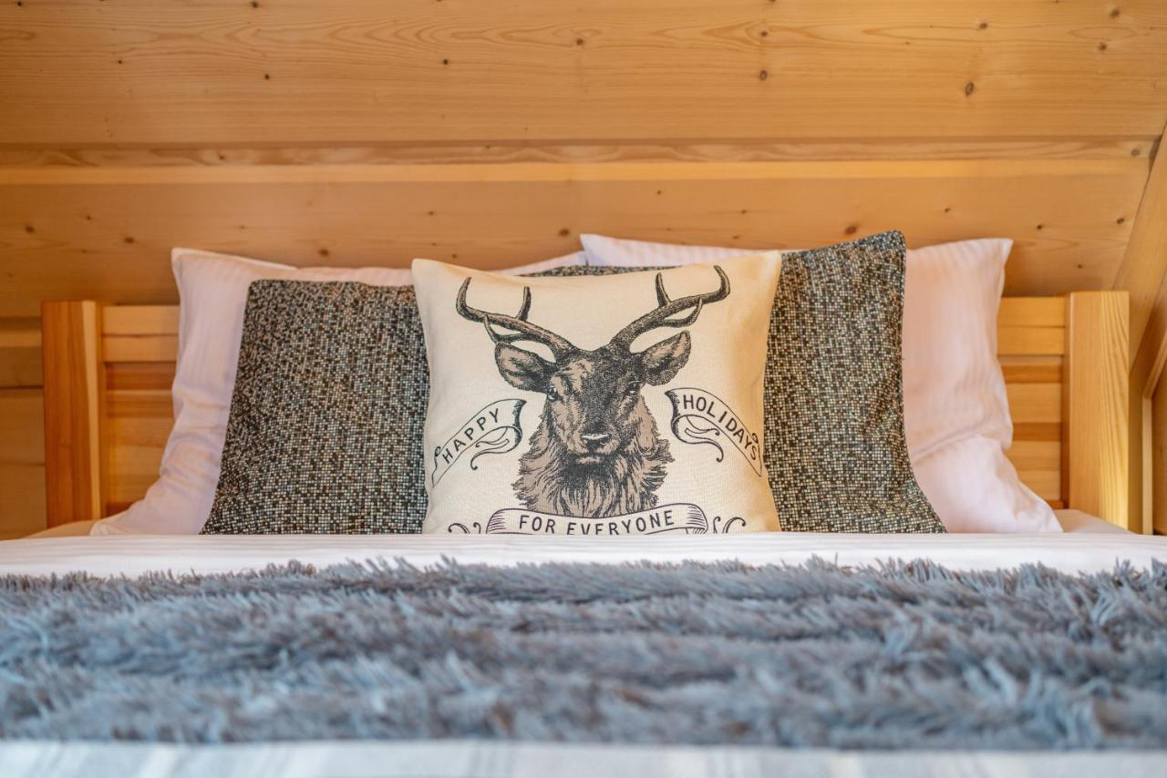 Apartamenty Willa Olsza Wood House & Mountain View & Sauna Ζακοπάνε Εξωτερικό φωτογραφία